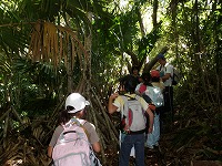 P6030005.jpg